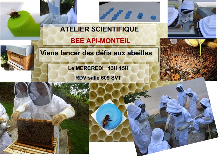 Viens lancer des défis aux abeilles!
Atelier scientifique Bee Api